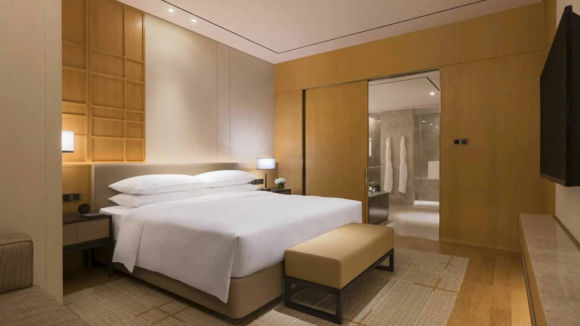 Hotel Hyatt Regency Shenzhen Airport